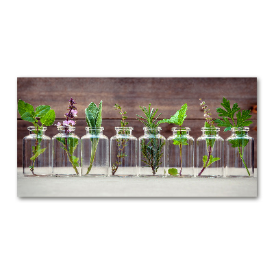 Tableau en verre Plantes en pots