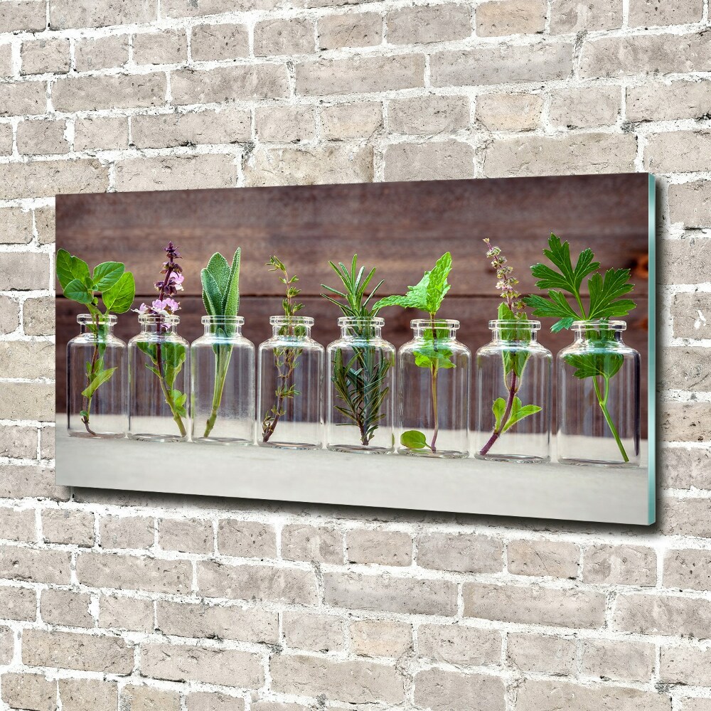 Tableau en verre Plantes en pots