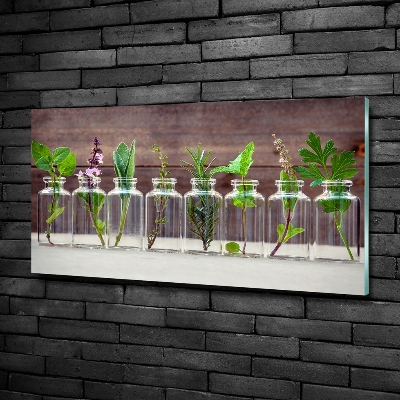 Tableau en verre Plantes en pots