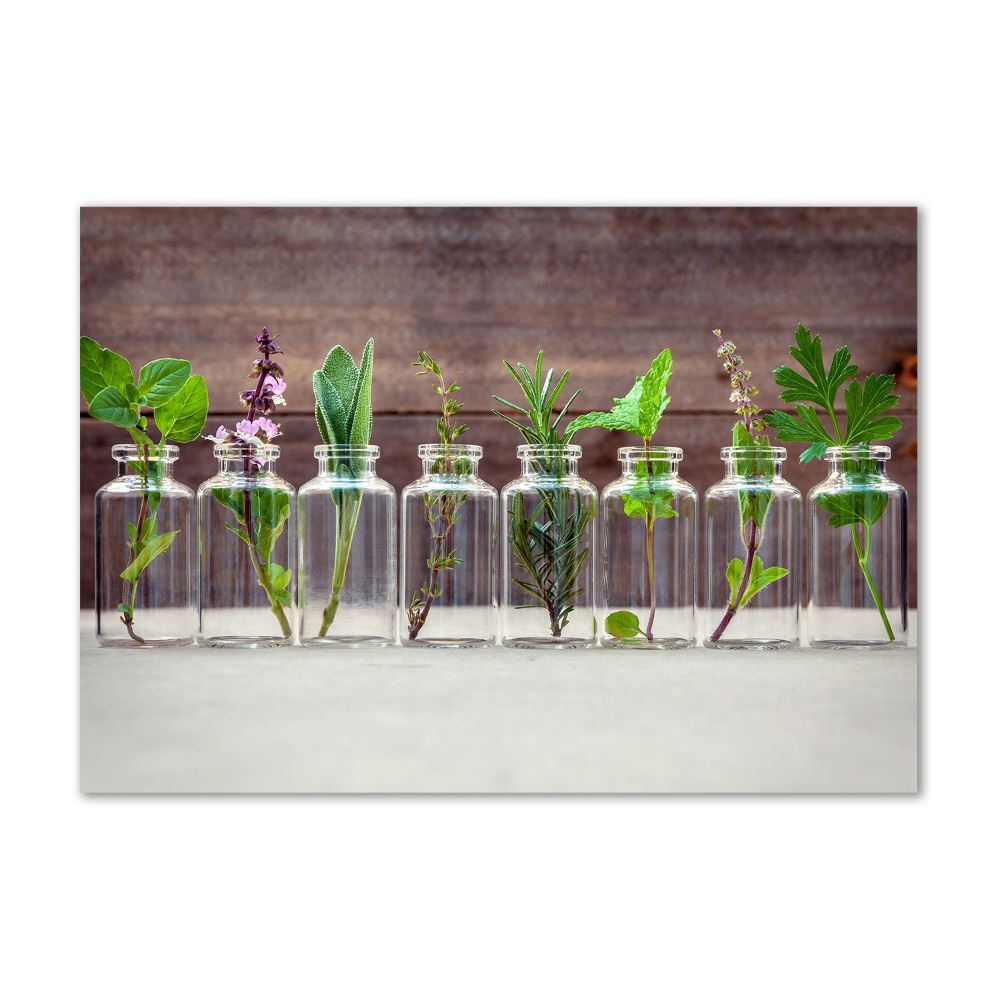 Tableau en verre Plantes en pots