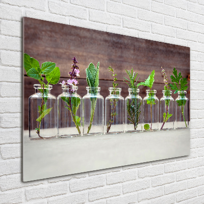 Tableau en verre Plantes en pots