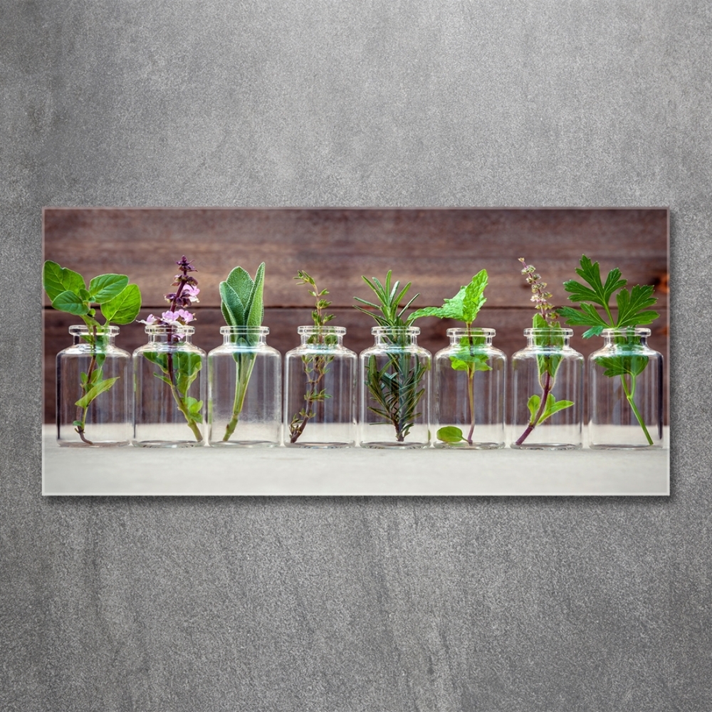 Tableau en verre Plantes en pots