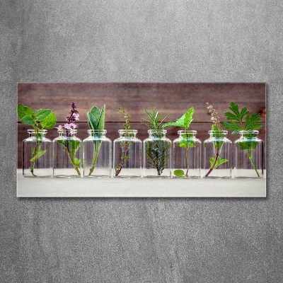 Tableau en verre Plantes en pots