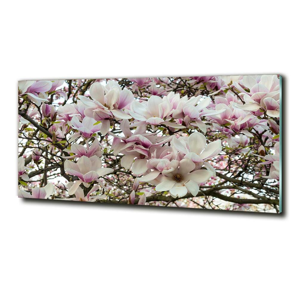 Tableau photo sur verre Fleurs de magnolia