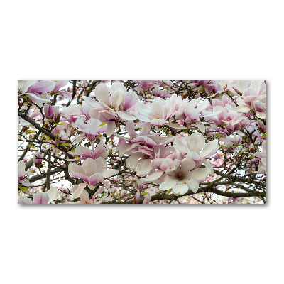 Tableau photo sur verre Fleurs de magnolia