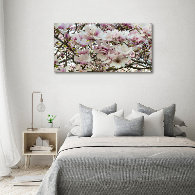 Tableau photo sur verre Fleurs de magnolia