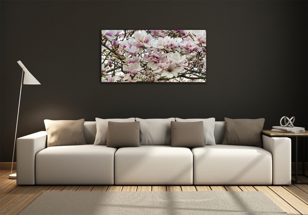 Tableau photo sur verre Fleurs de magnolia