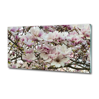 Tableau photo sur verre Fleurs de magnolia