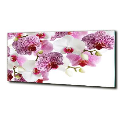 Tableau imprimé sur verre Orchidée plante