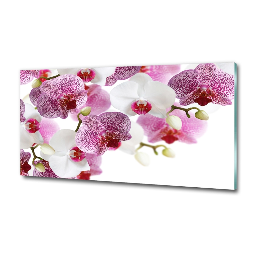 Tableau imprimé sur verre Orchidée plante