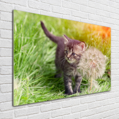 Tableau en verre Chat avec une houppette