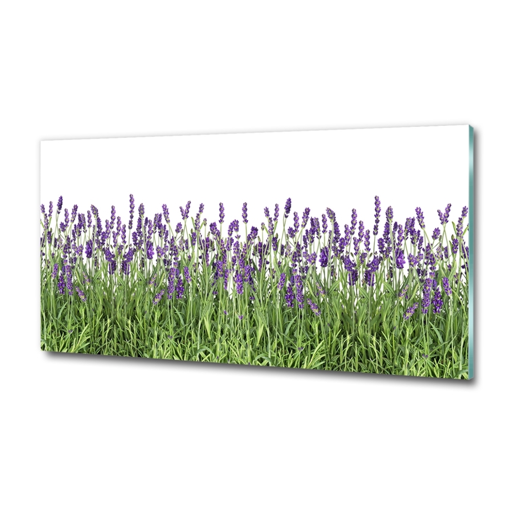 Tableau sur verre Fleurs de lavande