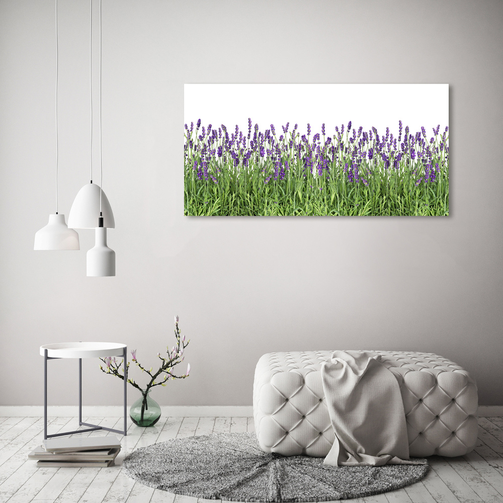 Tableau sur verre Fleurs de lavande