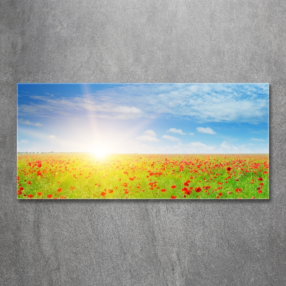 Tableau en verre Champ de coquelicots