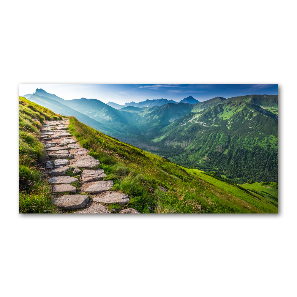 Tableau verre imprimé Sentier dans les Tatras