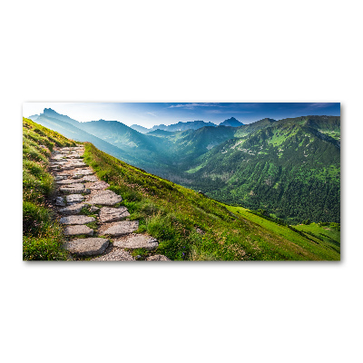 Tableau verre imprimé Sentier dans les Tatras