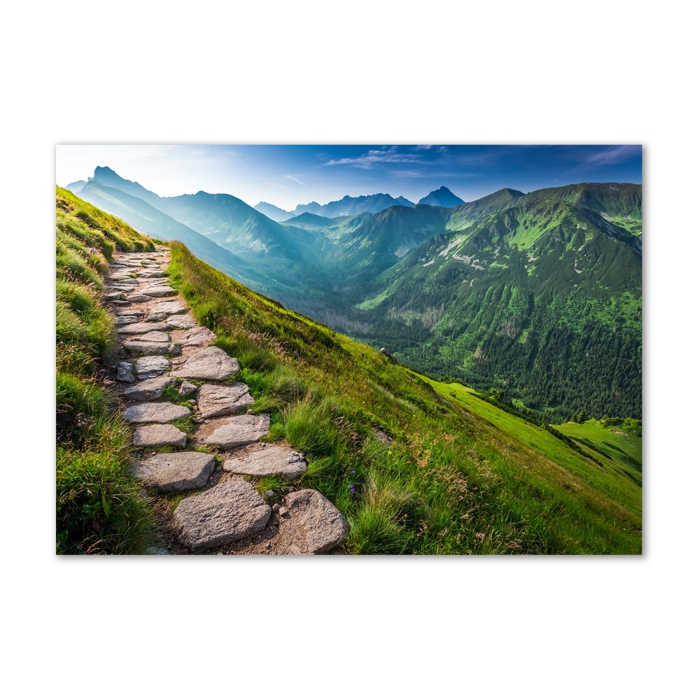 Tableau verre imprimé Sentier dans les Tatras