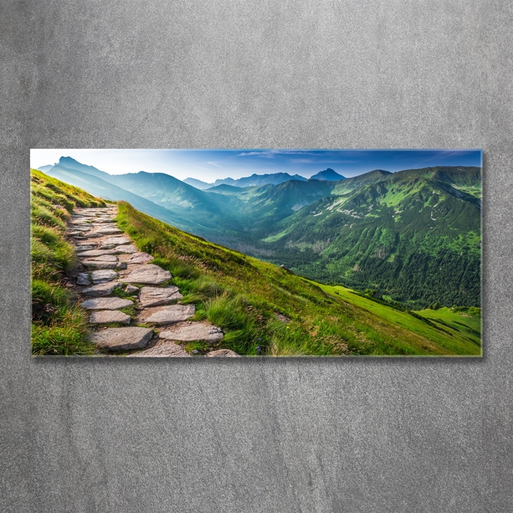 Tableau verre imprimé Sentier dans les Tatras