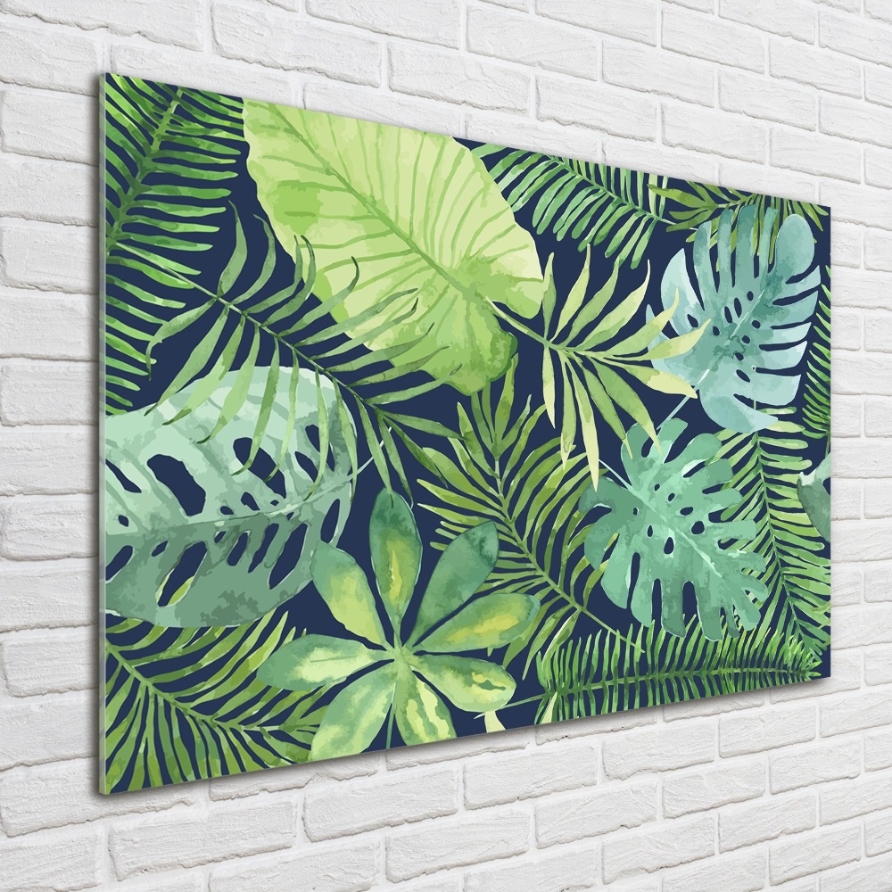 Tableau photo sur verre Feuillage tropical