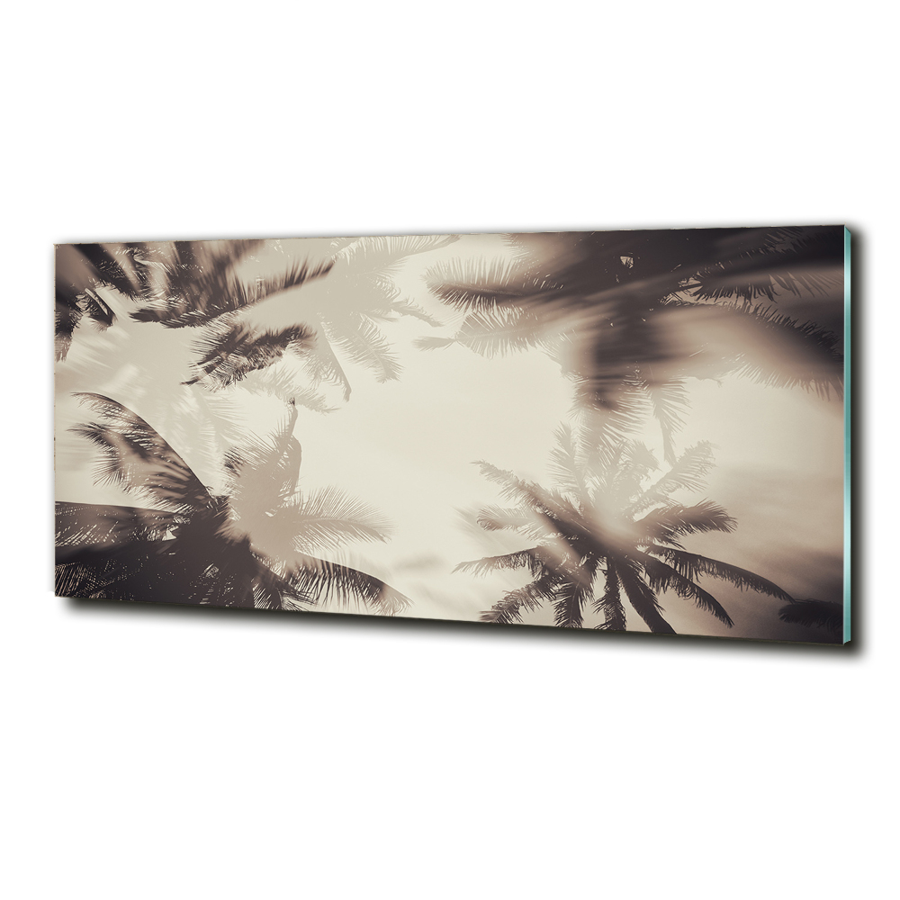 Tableau photo sur verre Palmiers