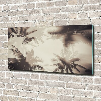 Tableau photo sur verre Palmiers