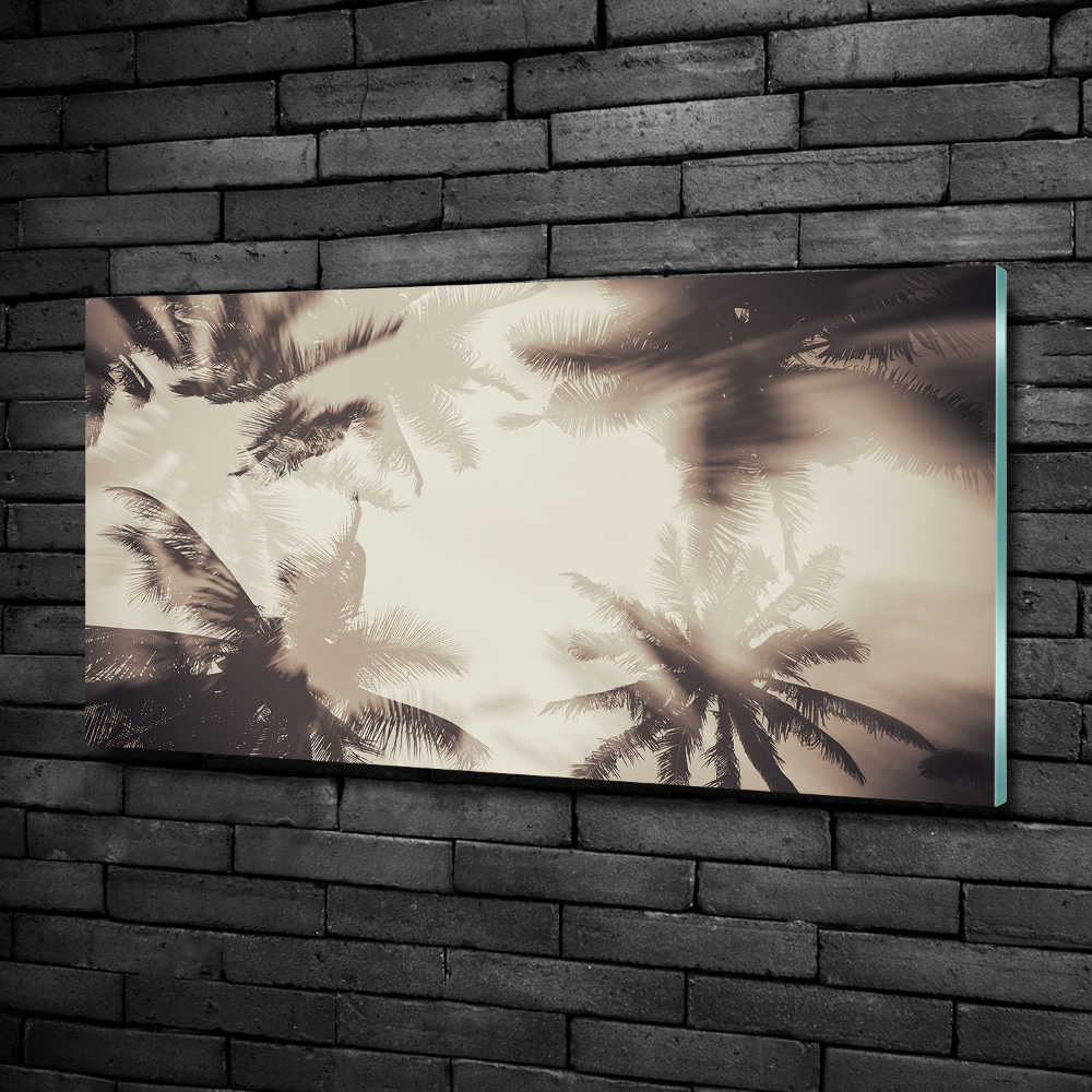 Tableau photo sur verre Palmiers