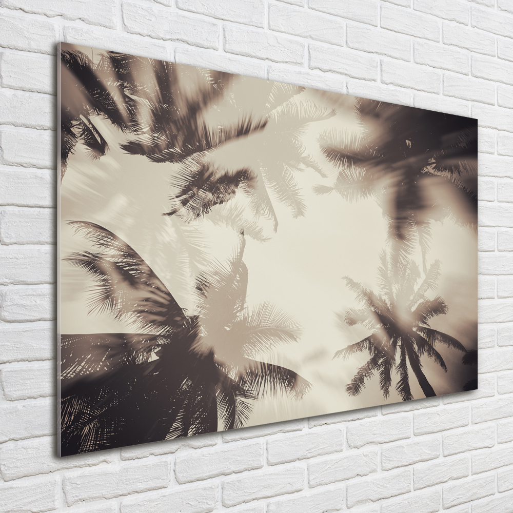 Tableau photo sur verre Palmiers