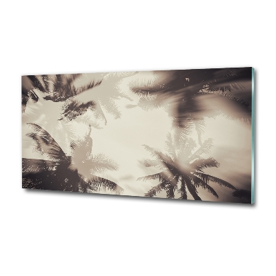 Tableau photo sur verre Palmiers