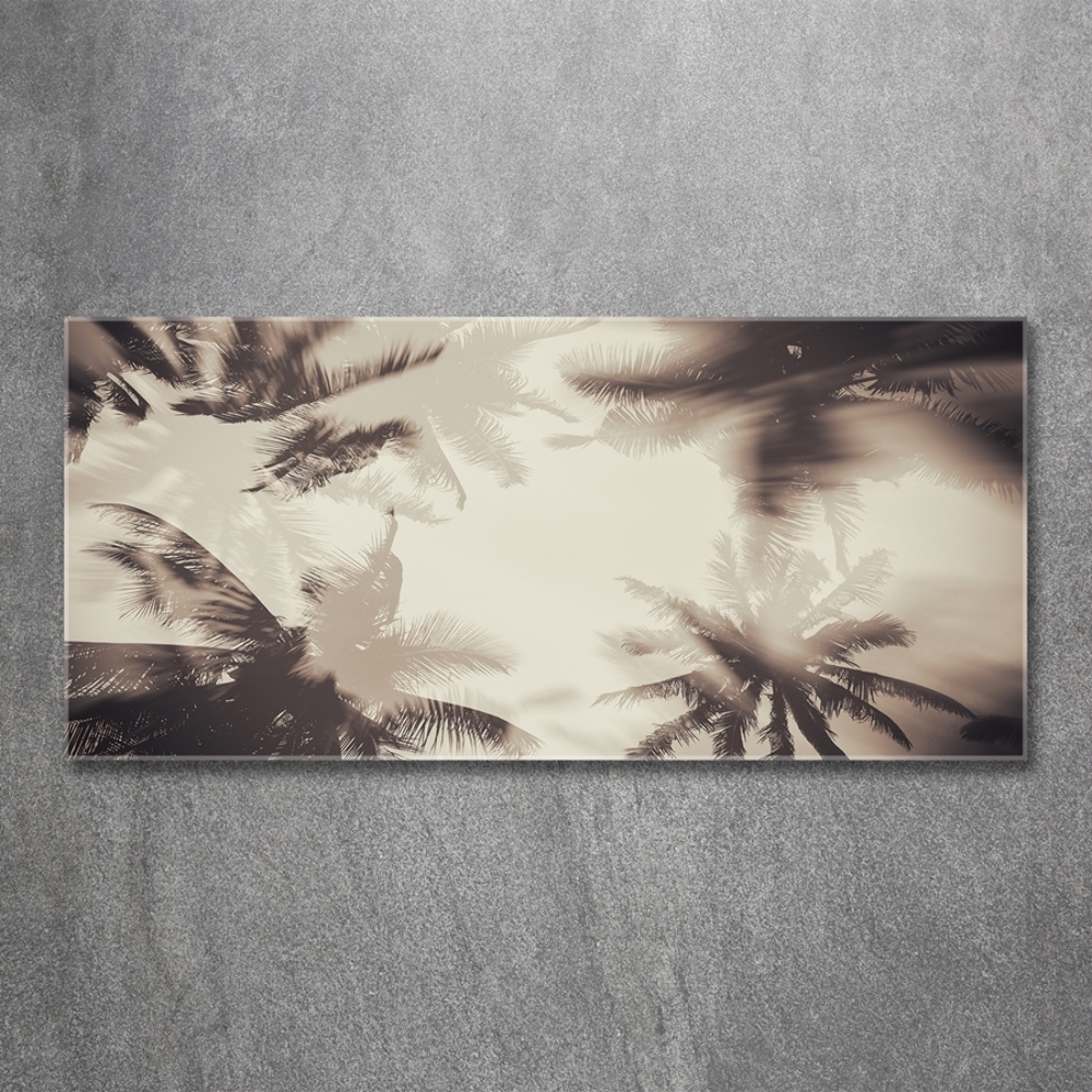 Tableau photo sur verre Palmiers