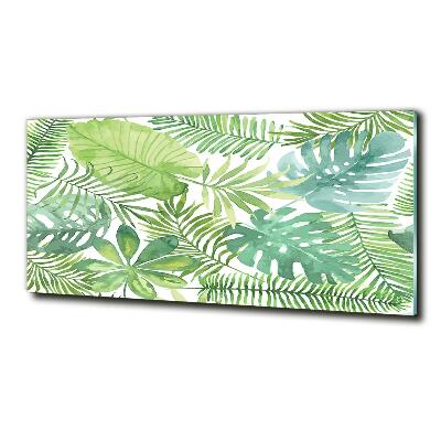 Tableau verre imprimé Feuilles vertes tropicales