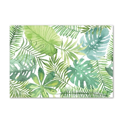 Tableau verre imprimé Feuilles vertes tropicales