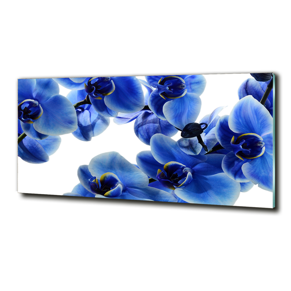 Tableau imprimé sur verre Orchidée bleue