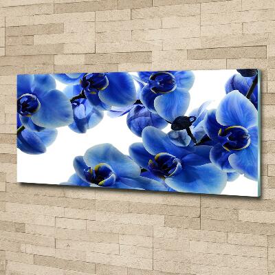 Tableau imprimé sur verre Orchidée bleue