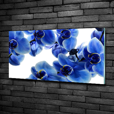 Tableau imprimé sur verre Orchidée bleue