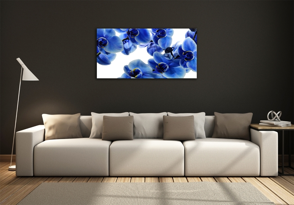 Tableau imprimé sur verre Orchidée bleue