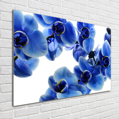 Tableau imprimé sur verre Orchidée bleue