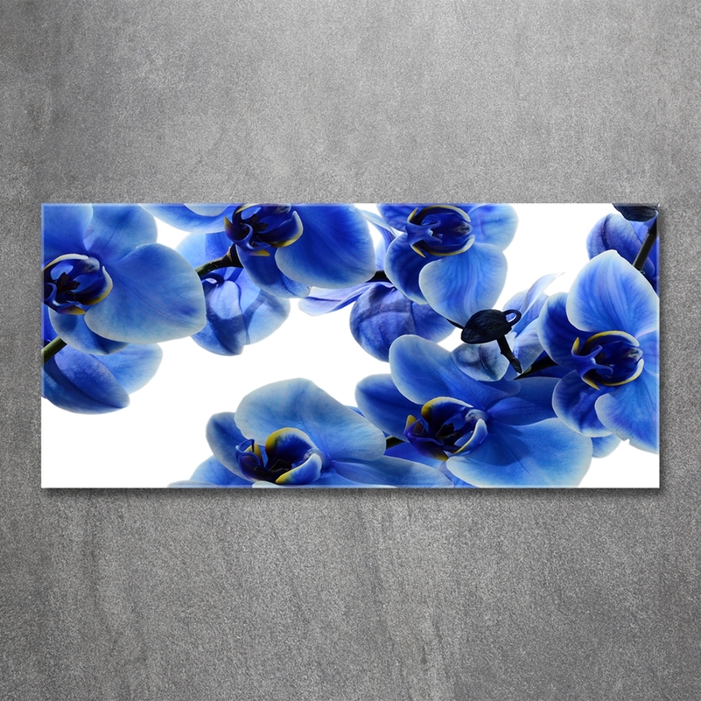 Tableau imprimé sur verre Orchidée bleue