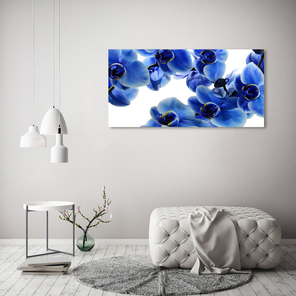 Tableau imprimé sur verre Orchidée bleue