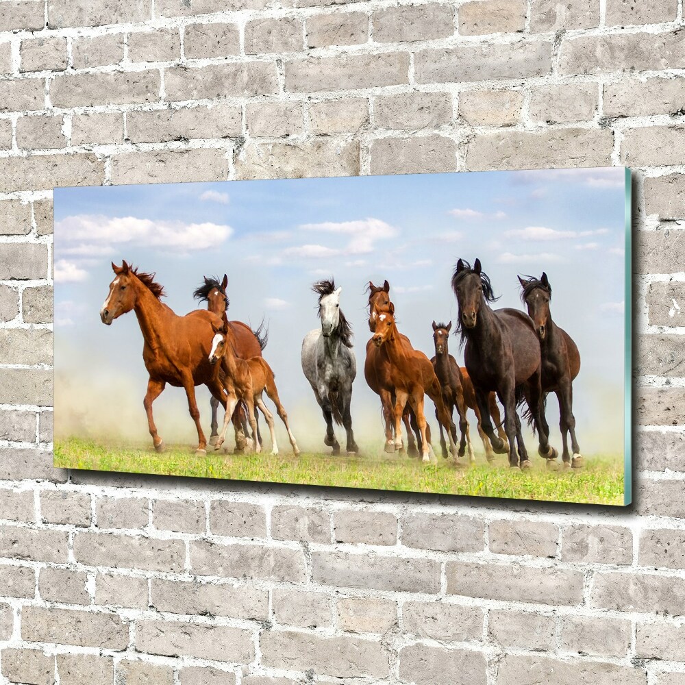 Tableau imprimé sur verre Chevaux au galop