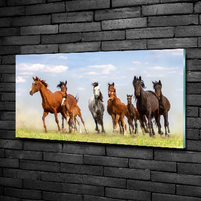 Tableau imprimé sur verre Chevaux au galop