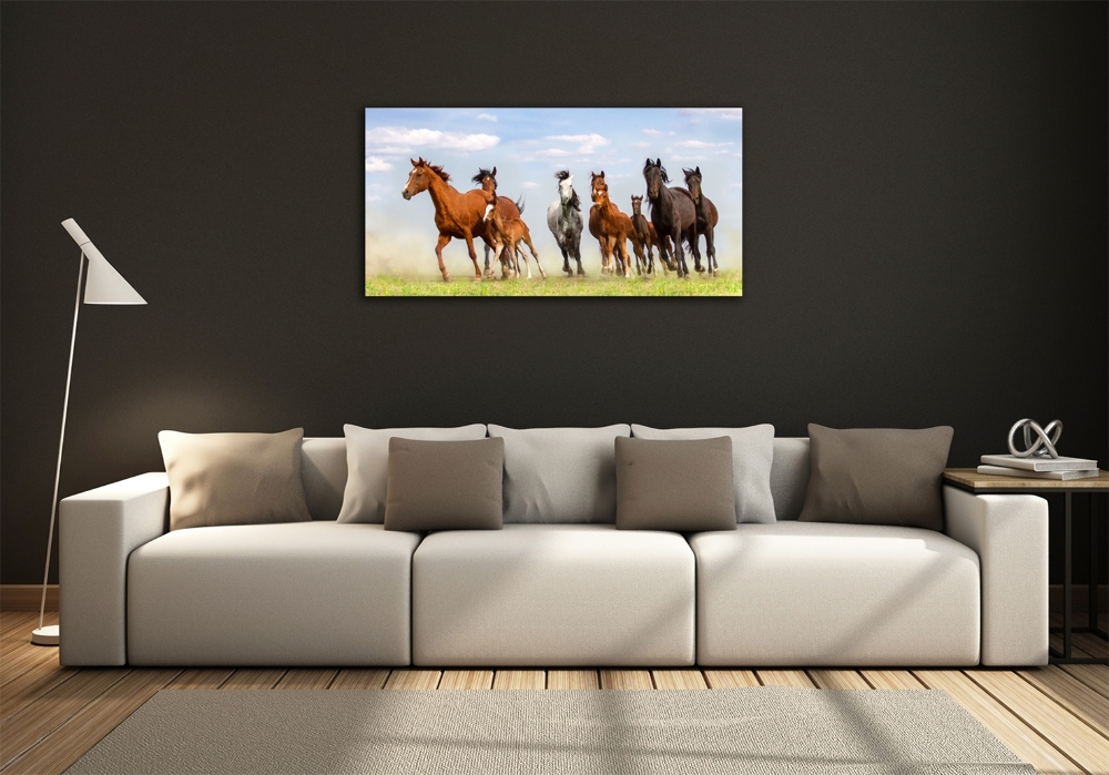 Tableau imprimé sur verre Chevaux au galop