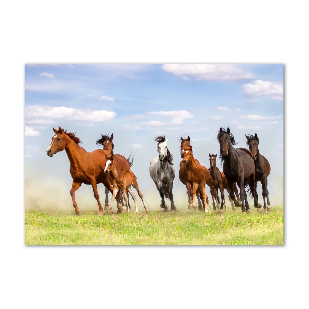 Tableau imprimé sur verre Chevaux au galop