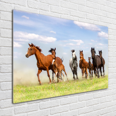 Tableau imprimé sur verre Chevaux au galop