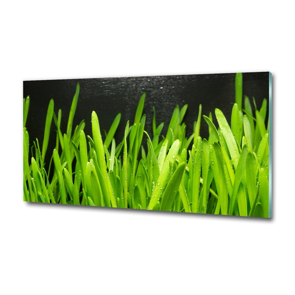 Tableau imprimé sur verre Herbe