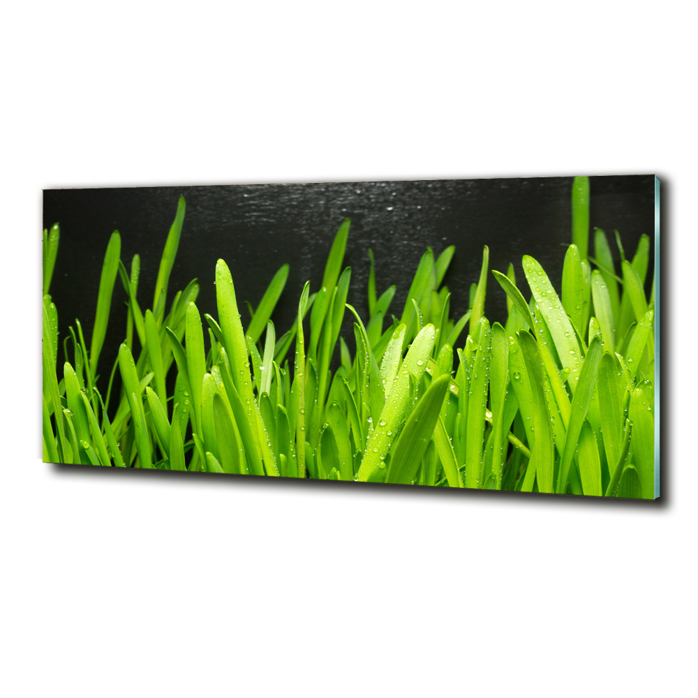 Tableau imprimé sur verre Herbe