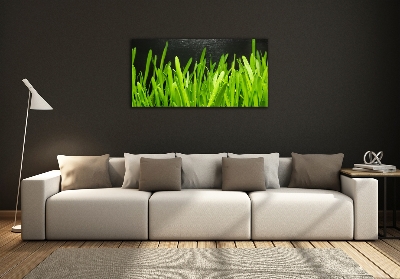 Tableau imprimé sur verre Herbe