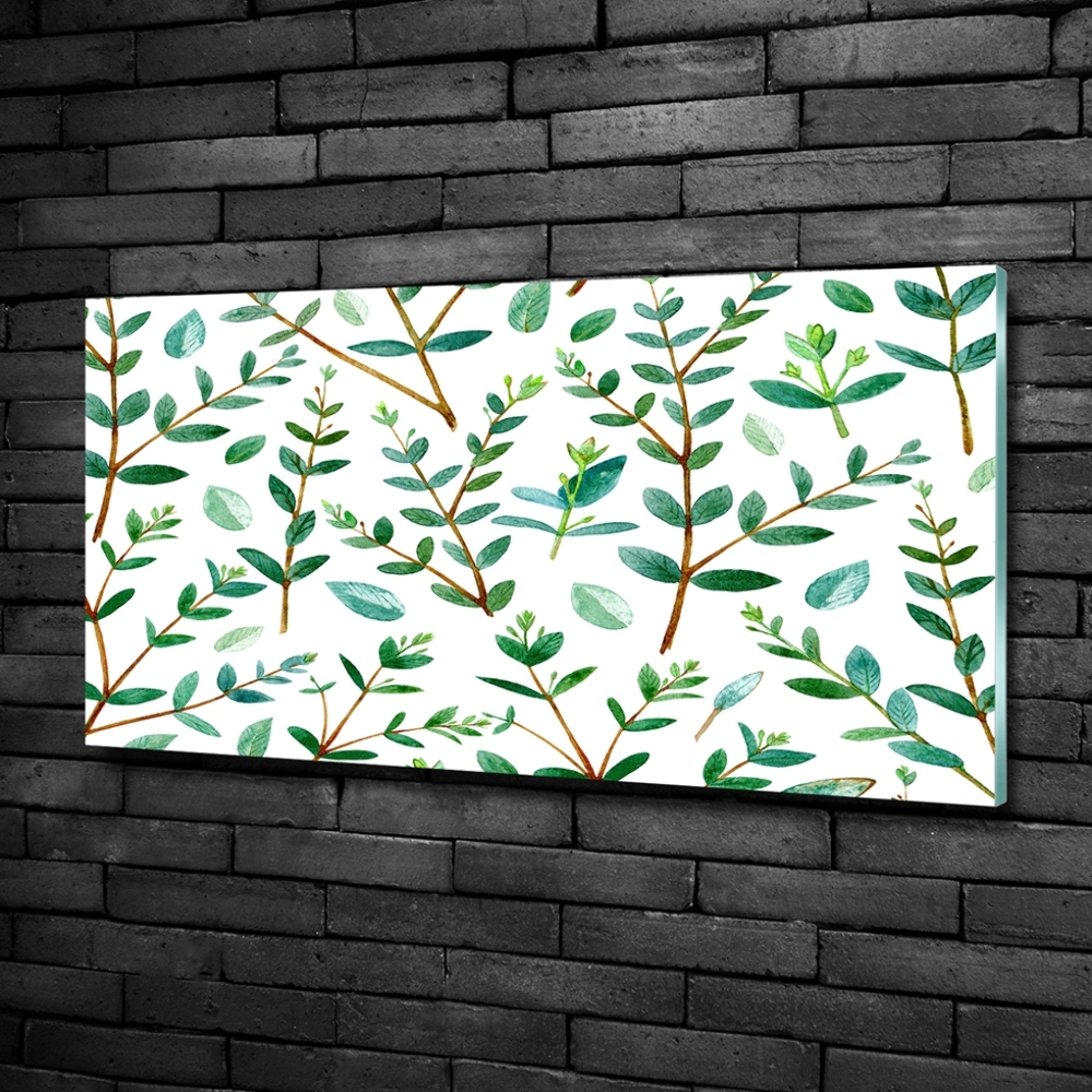 Tableau photo sur verre Eucalyptus