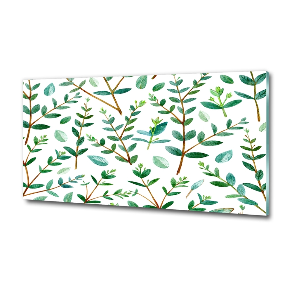 Tableau photo sur verre Eucalyptus