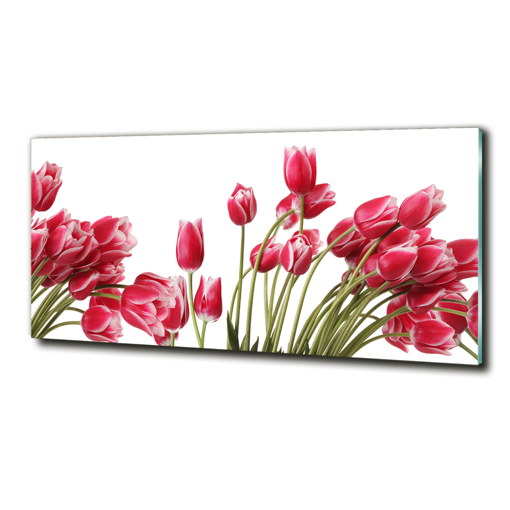 Tableau en verre Tulipes rouges