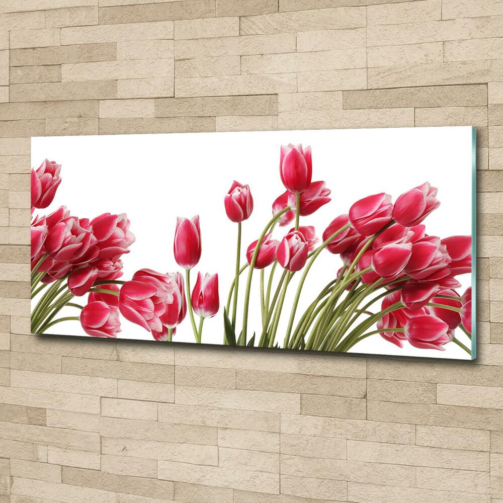 Tableau en verre Tulipes rouges